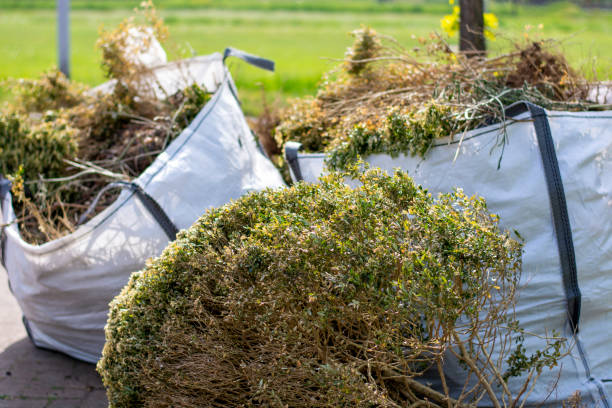 Best Yard Waste Removal  in Ironwood, MI