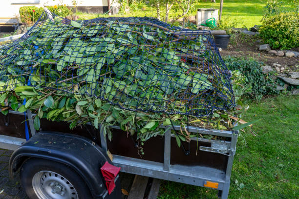 Shed Removal in Ironwood, MI
